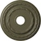 Ekena Millwork Dublin Ceiling Medallion (Canopies up to 5 1/8"), 17 7/8"OD x 3 5/8"ID x 1 1/4"P, Painted Turtle CM17DUPTF - alternate 1